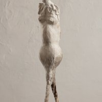 Prima Pater