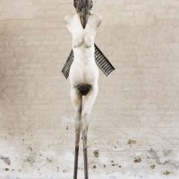 Harpy