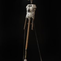 Stoet Man met Vogelkop
