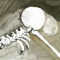 Skeletvrouw 7